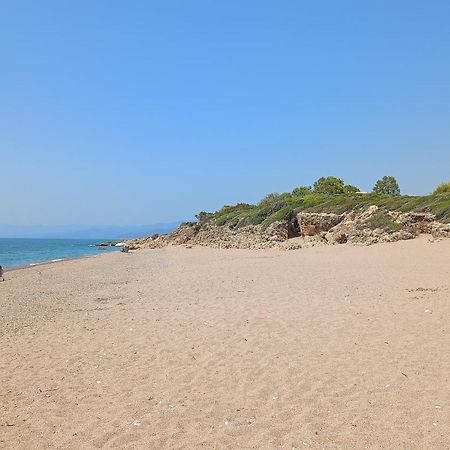 הוילה קיפריסיה Tzanetos Seaside מראה חיצוני תמונה