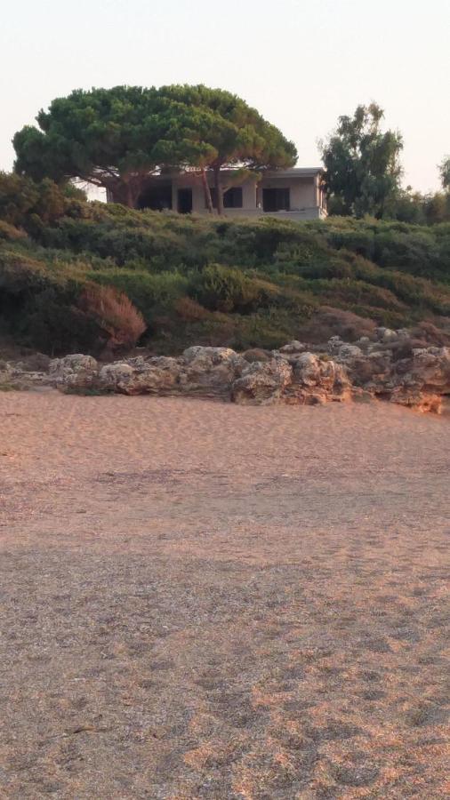 הוילה קיפריסיה Tzanetos Seaside מראה חיצוני תמונה