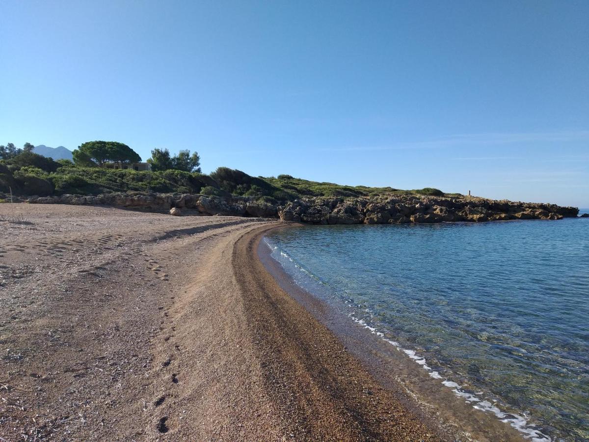 הוילה קיפריסיה Tzanetos Seaside מראה חיצוני תמונה