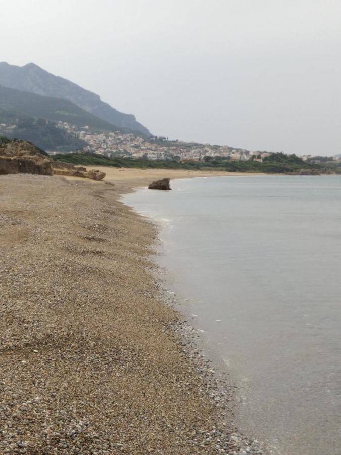 הוילה קיפריסיה Tzanetos Seaside מראה חיצוני תמונה