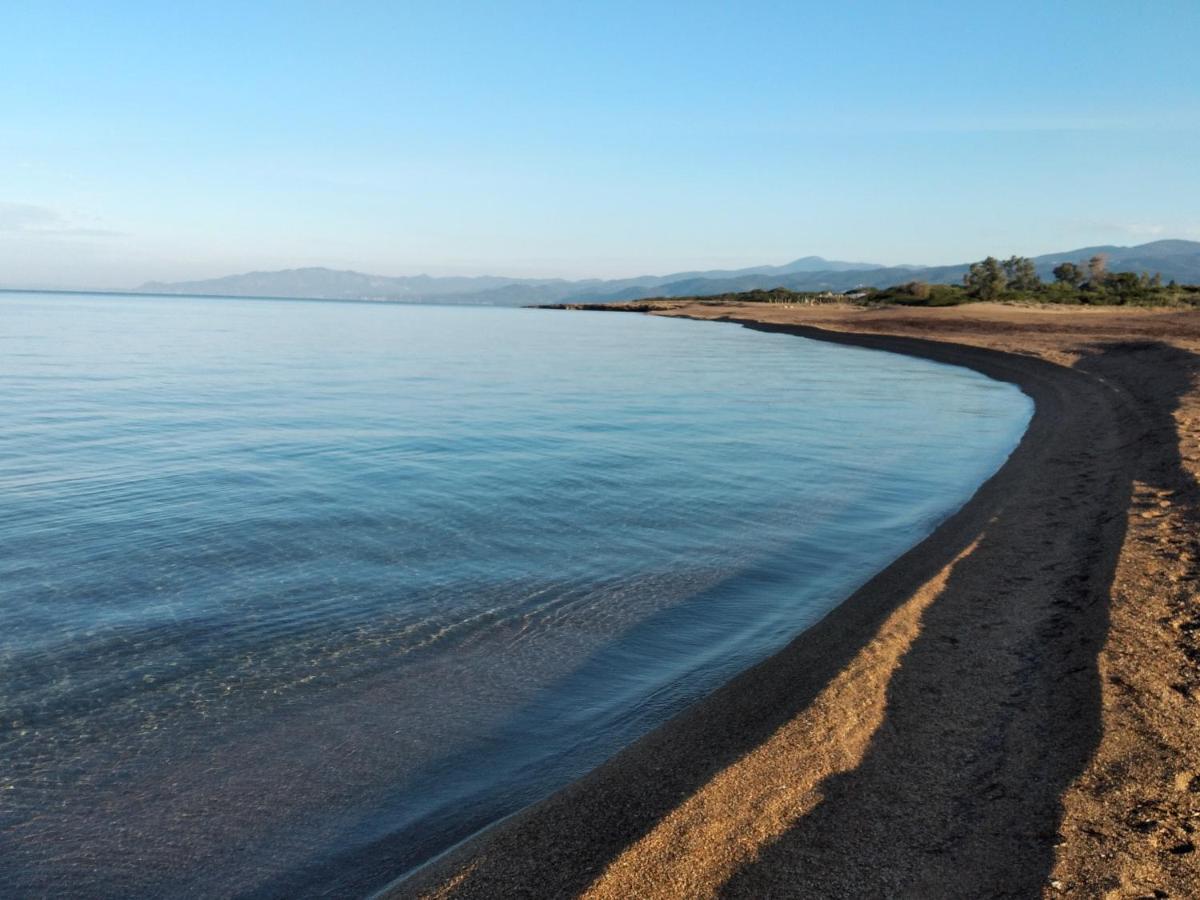 הוילה קיפריסיה Tzanetos Seaside מראה חיצוני תמונה