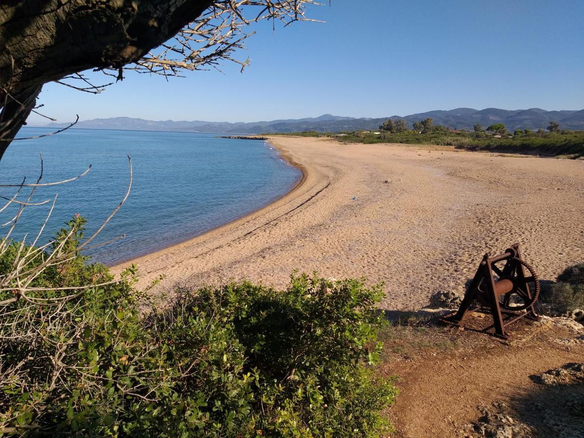 הוילה קיפריסיה Tzanetos Seaside מראה חיצוני תמונה