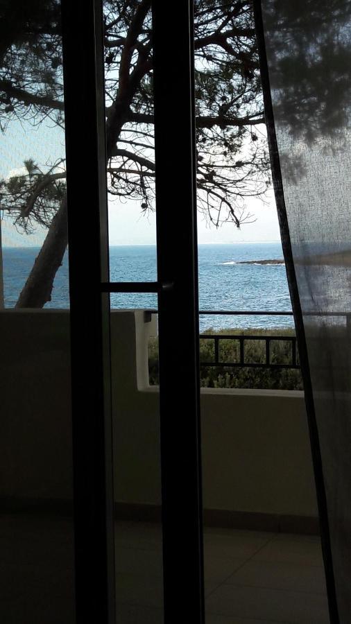 הוילה קיפריסיה Tzanetos Seaside מראה חיצוני תמונה