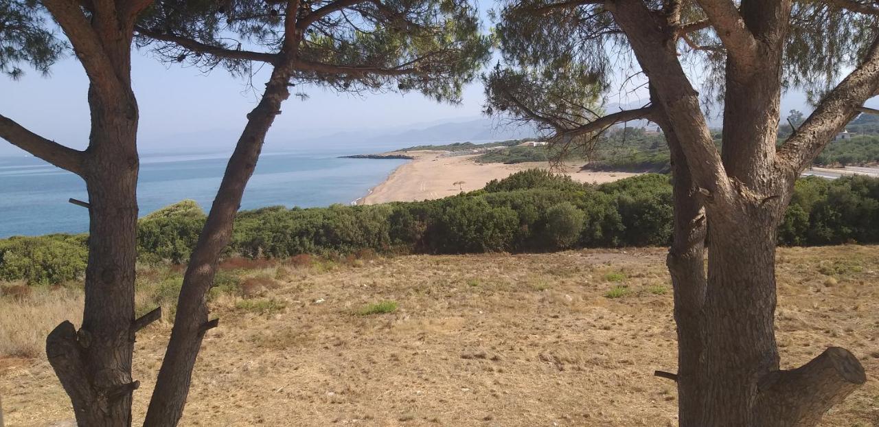 הוילה קיפריסיה Tzanetos Seaside מראה חיצוני תמונה