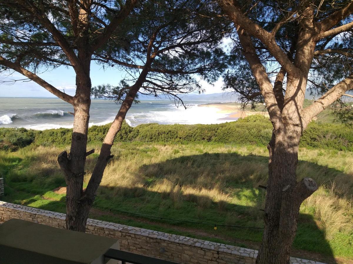 הוילה קיפריסיה Tzanetos Seaside מראה חיצוני תמונה
